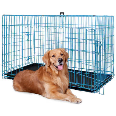 Internet's best dog crate sale